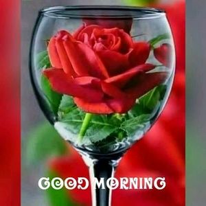 Meet your Posher, Gwendolyn